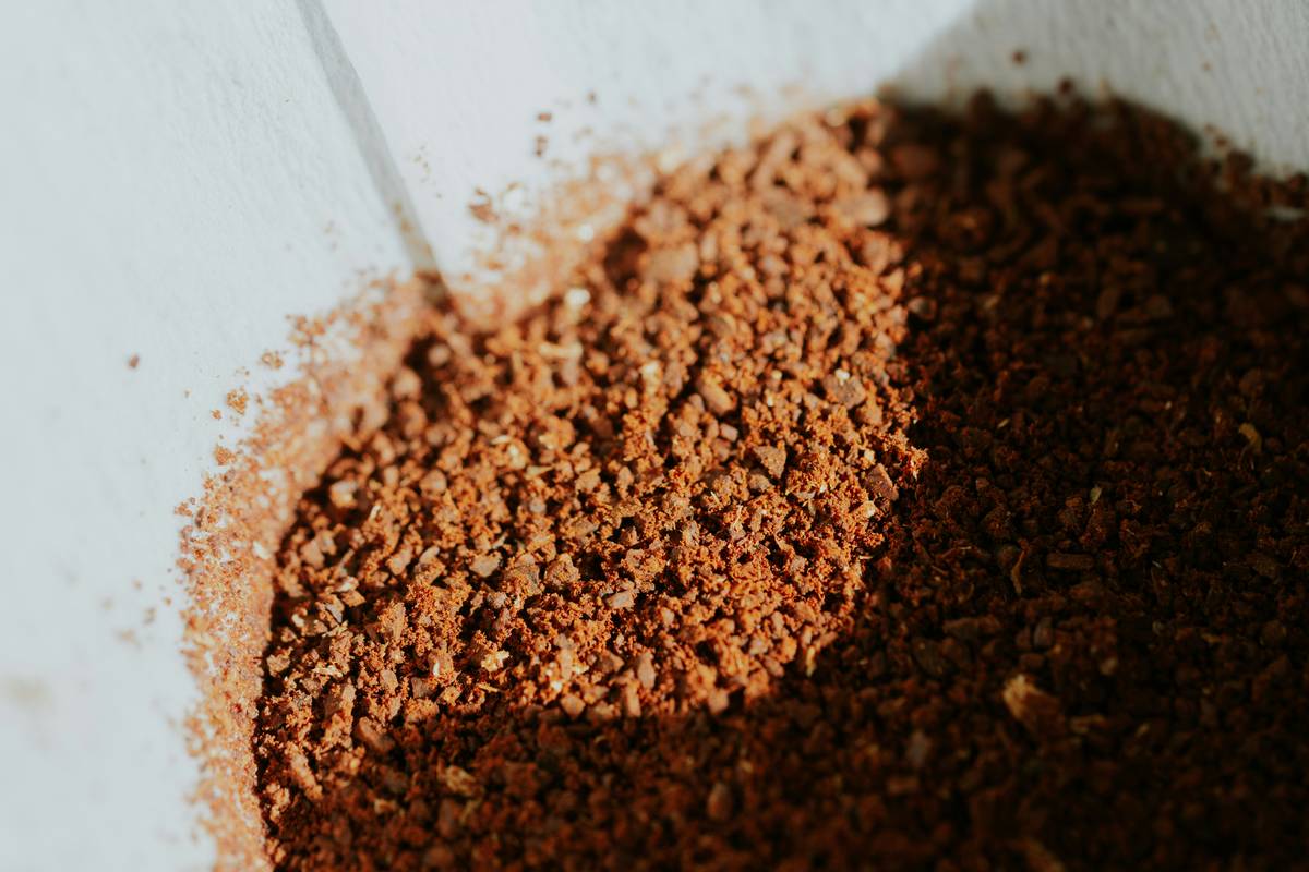 Close-up of used paper coffee filter sitting on compost pile with grounds, illustrating is coffee filter compostable
